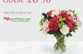 Hoa yêu thương Giảm 10% khi khách hàng sử dụng thẻ SCB Visa/Mastercard